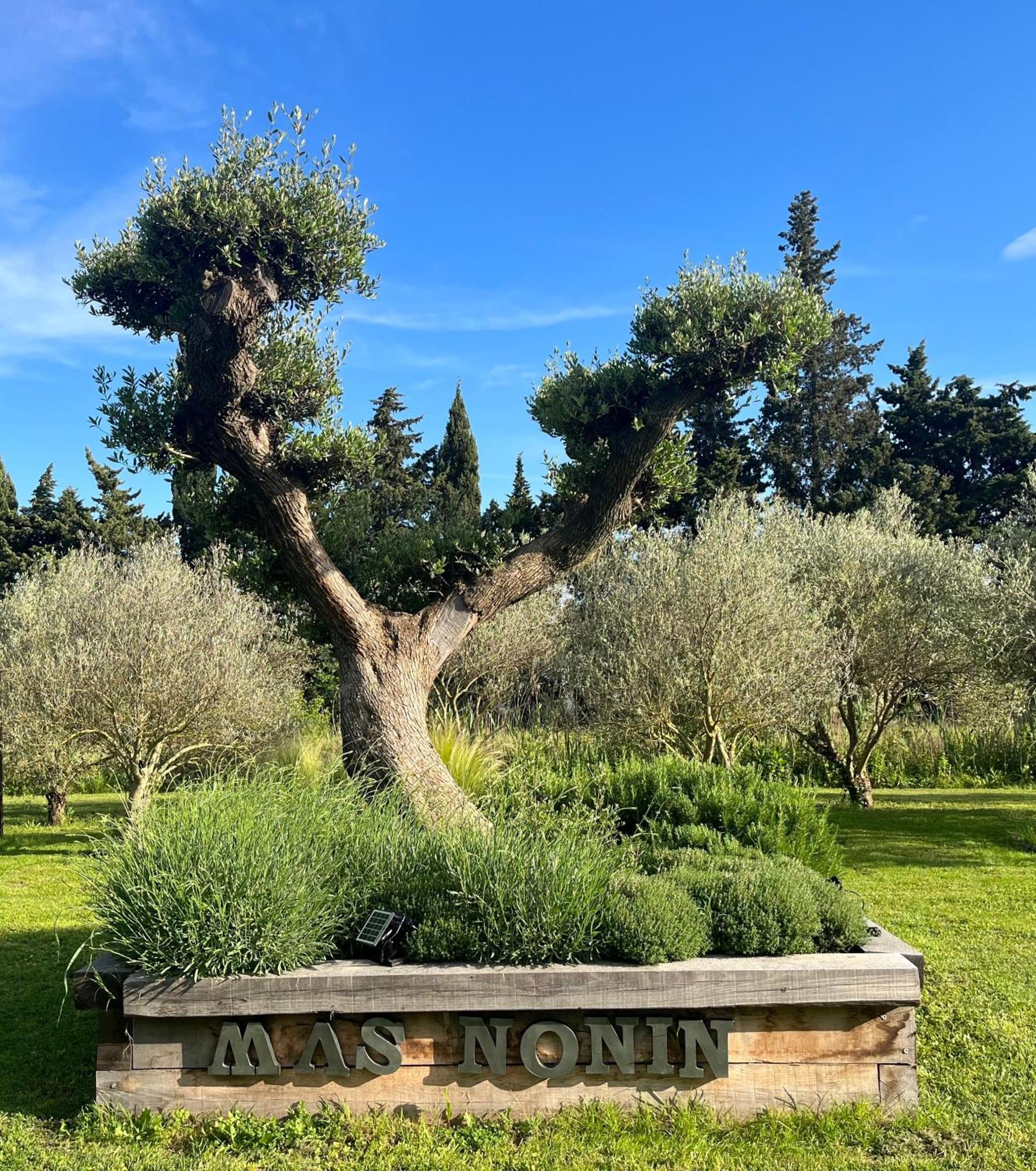 Mas De Nonin St Remy De Provence Hotel Noves ภายนอก รูปภาพ
